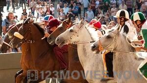 Palio