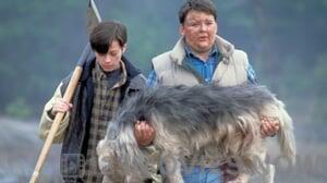 Pet Sematary 2