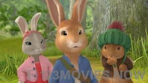 Peter Rabbit