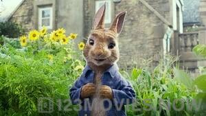 Peter Rabbit