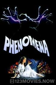 Phenomena