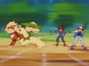 Pokémon Season 5 Episode 19