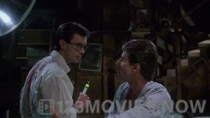 Re-animator