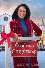 Scouting for Christmas