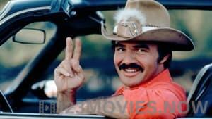 Smokey and the Bandit II