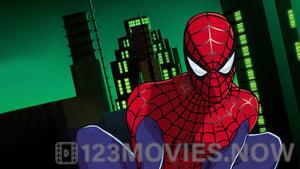 Spider-Man: The New Animated Series