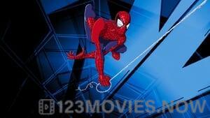 Spider-Man: The New Animated Series