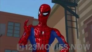 Spider-Man: The New Animated Series