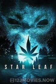 Star Leaf