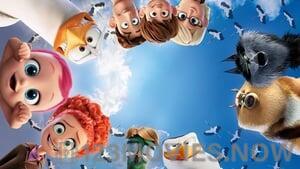 Storks