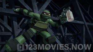 Teenage Mutant Ninja Turtles Season 3 Episode 11