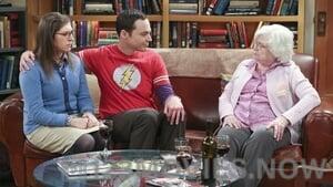 The Big Bang Theory Season 9 Episode 14