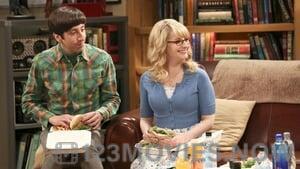 The Big Bang Theory Season 9 Episode 22