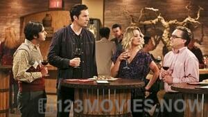 The Big Bang Theory Season 9 Episode 22