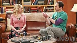 The Big Bang Theory Season 9 Episode 22