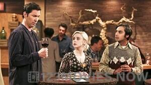 The Big Bang Theory Season 9 Episode 22