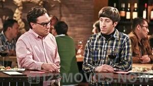 The Big Bang Theory Season 9 Episode 22