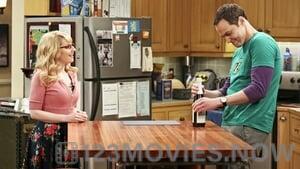 The Big Bang Theory Season 9 Episode 22