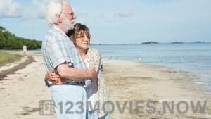 The Leisure Seeker