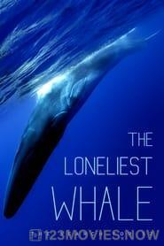 The Loneliest Whale: The Search for 52