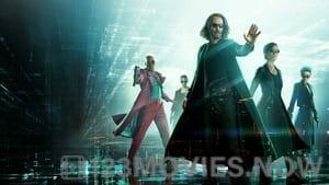 The Matrix Resurrections