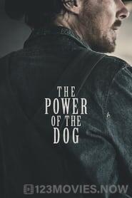 The Power of the Dog