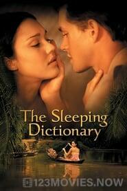 The Sleeping Dictionary