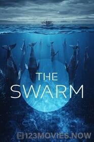 The Swarm Season 1 Episode 8