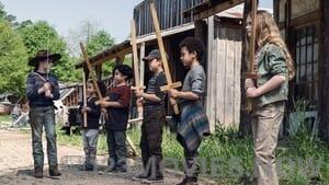 The Walking Dead Season 11 Episode 5