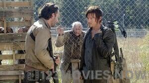 The Walking Dead Season 3 Episode 15