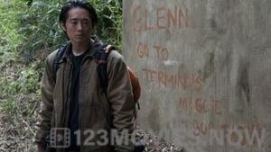 The Walking Dead Season 4 Episode 15