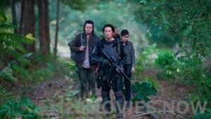 The Walking Dead Season 4 Episode 15