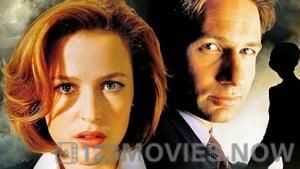 The X Files