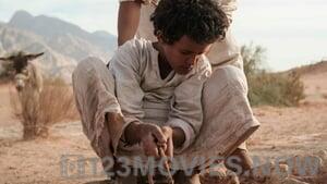 Theeb