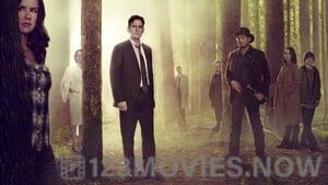 Wayward Pines