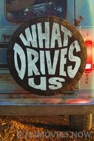 What Drives Us