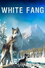 White Fang